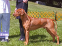 Kalou