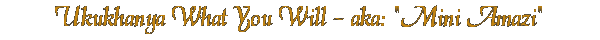 Mini Amazi