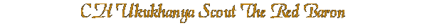 Scout